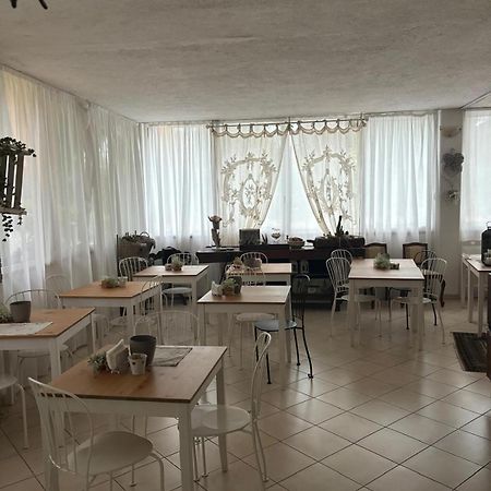 Casa Versilia Hotel Marina di Massa Exteriér fotografie